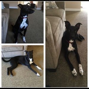 Meet your Posher, Sara